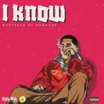 Shatta Wale – I Know | vibe9ja.com.ng