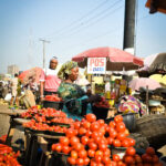 Daily income business in Nigeria