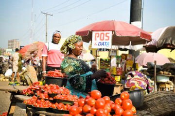 Daily income business in Nigeria