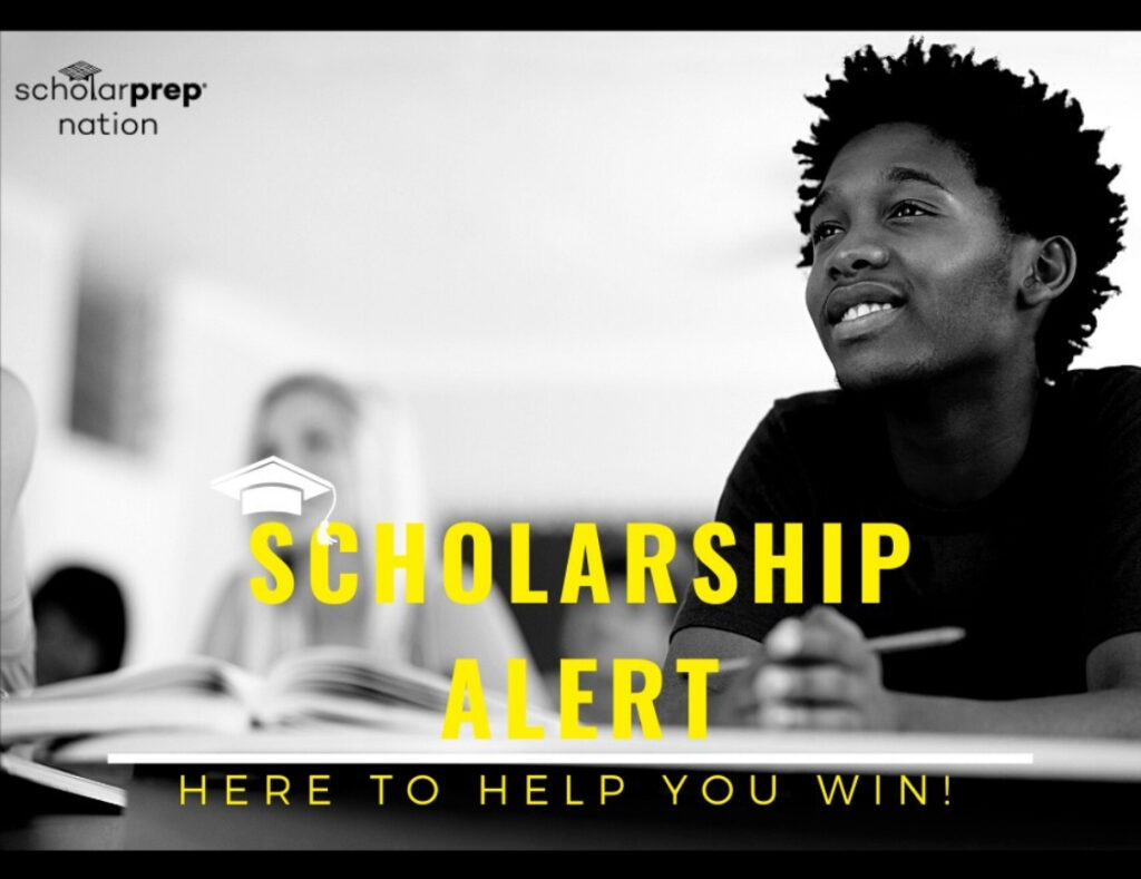 Scholarship vs student loan 